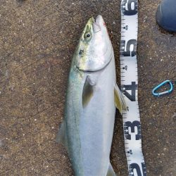 リベンジ成功！