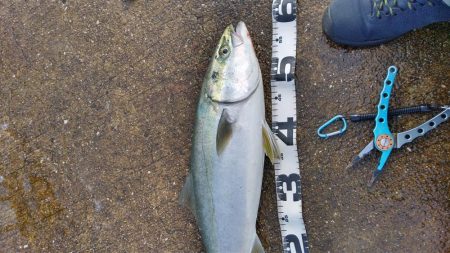 リベンジ成功！