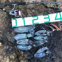 2021佐渡ヶ島 エギング 4回目