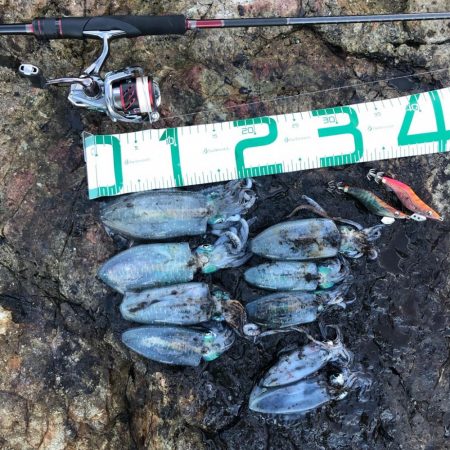 2021佐渡ヶ島 エギング 4回目