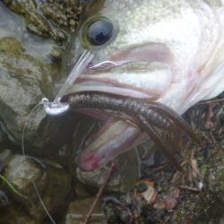 雨の降り初めに