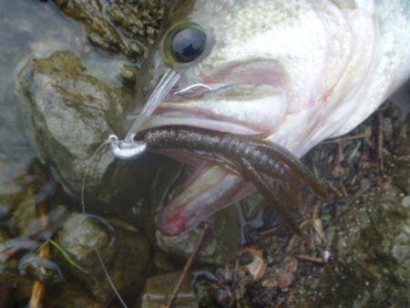 雨の降り初めに