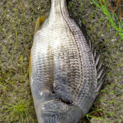 いかにも秋ちぬという感じ