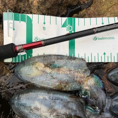 2021佐渡ヶ島 エギング 8回目