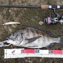 青物調査のハズが・・・！