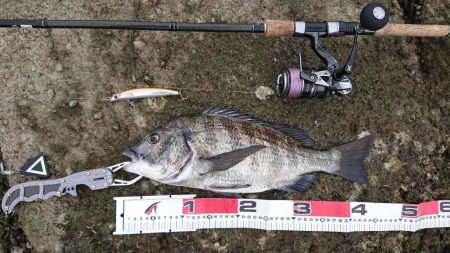 青物調査のハズが・・・！