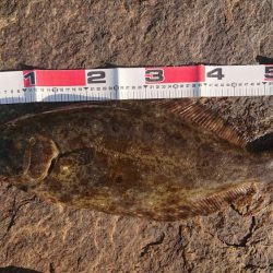 久々のウェーディング！