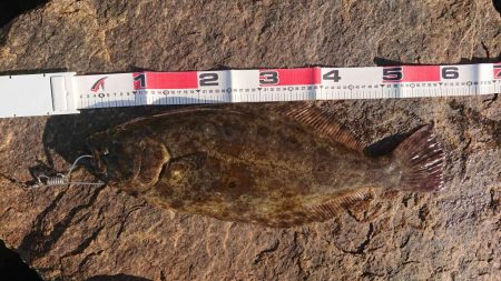 久々のウェーディング！