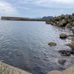 デイでも大きい!