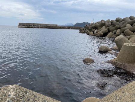 デイでも大きい!