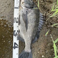 イチノ兄弟、釣果！