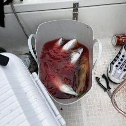 真夏のマイボート