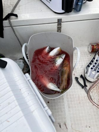 真夏のマイボート