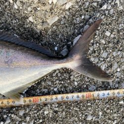 やっぱり熱い中泊!