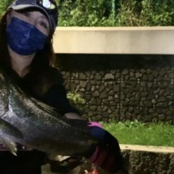 夜釣りでシーバス