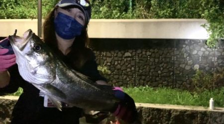 夜釣りでシーバス