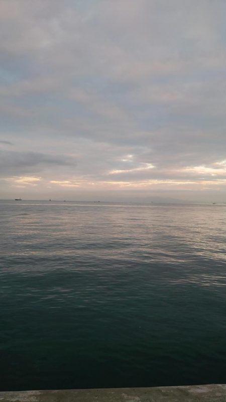 タチウオ小さい