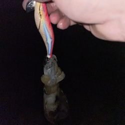 今日、風吹く予報?