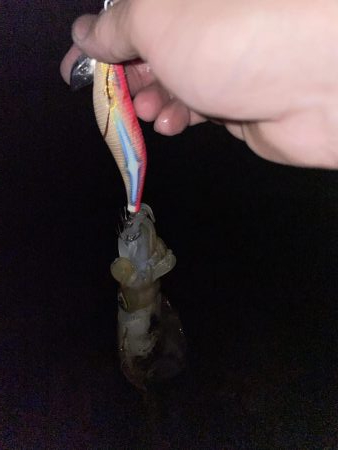 今日、風吹く予報?