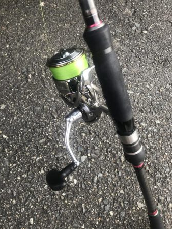 朝マズメの太刀魚釣り