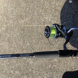 価値ある中アジ