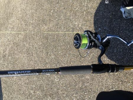 価値ある中アジ