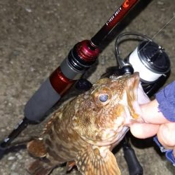 ONOKOROはサバ地獄