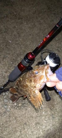 ONOKOROはサバ地獄