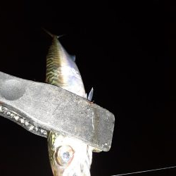 ライトゲーム45