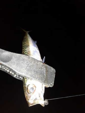 ライトゲーム45