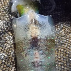 学生時代の仲間と