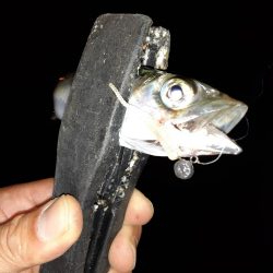 ライトゲーム46