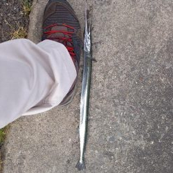 夕マヅメ短時間釣行です。