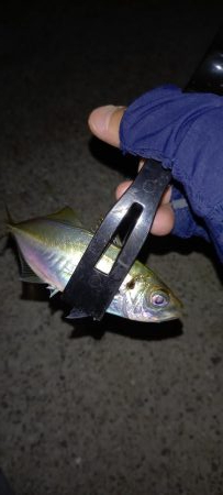 南蛮漬けの材料調達