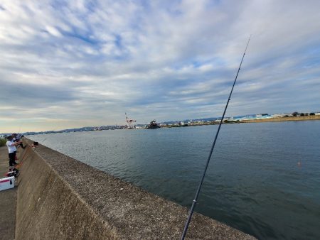 アジ祭りからのサーベリング