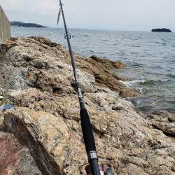 今日はヒラ祭り