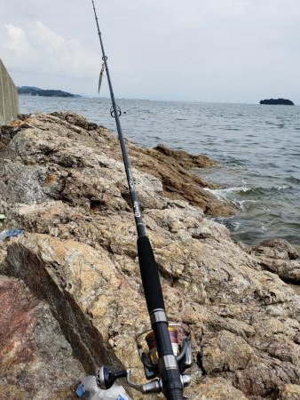 今日はヒラ祭り