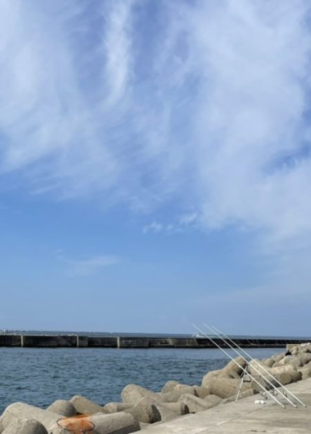 カレイとメタボチヌ