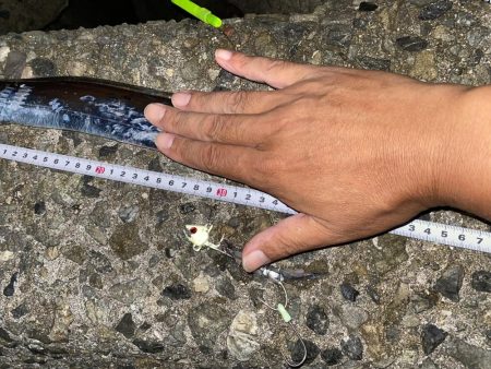 泉大津に太刀魚