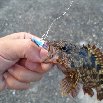 安定のガシリング