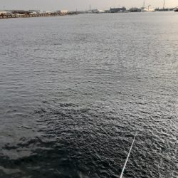 遠征するもやっぱり鯖