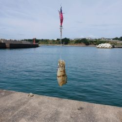 まさかのキロアップ