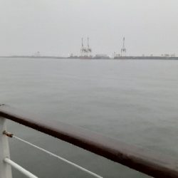 タチウオ複数安打