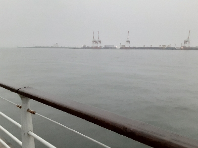 タチウオ複数安打