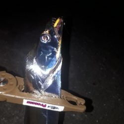 やっぱ、アジングは楽しい