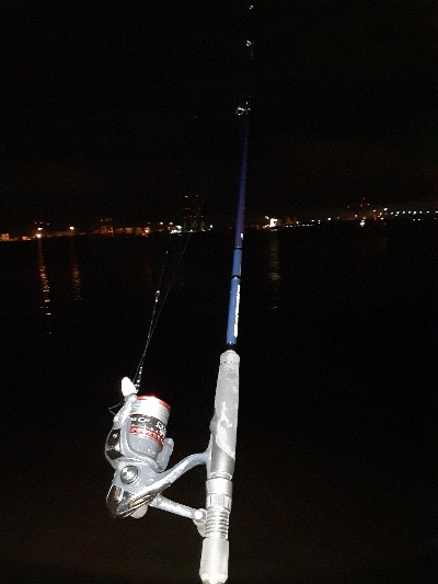 タチウオ下降気味!?