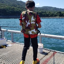 のませでガシラが釣れました