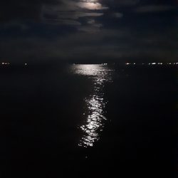 沖堤で青物狙い