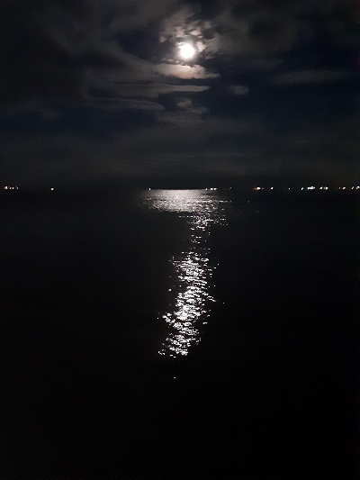 沖堤で青物狙い