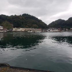 全然反応がない、。